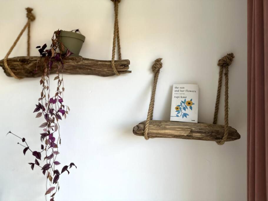 Appartement Cosy Calao - Parking Ferme Gratuit Perpignan Exterior photo